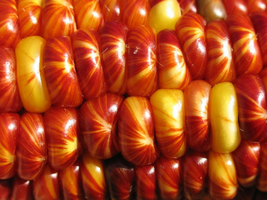 339106 (a): :1024x768